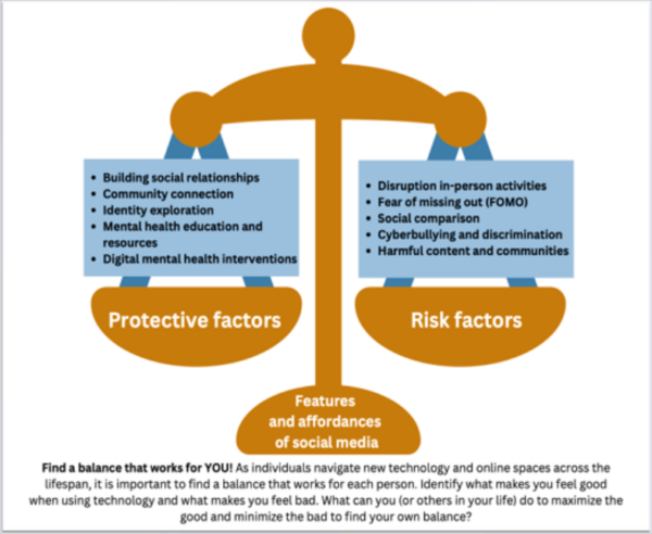 Image weighing risk and protective factors of online activity